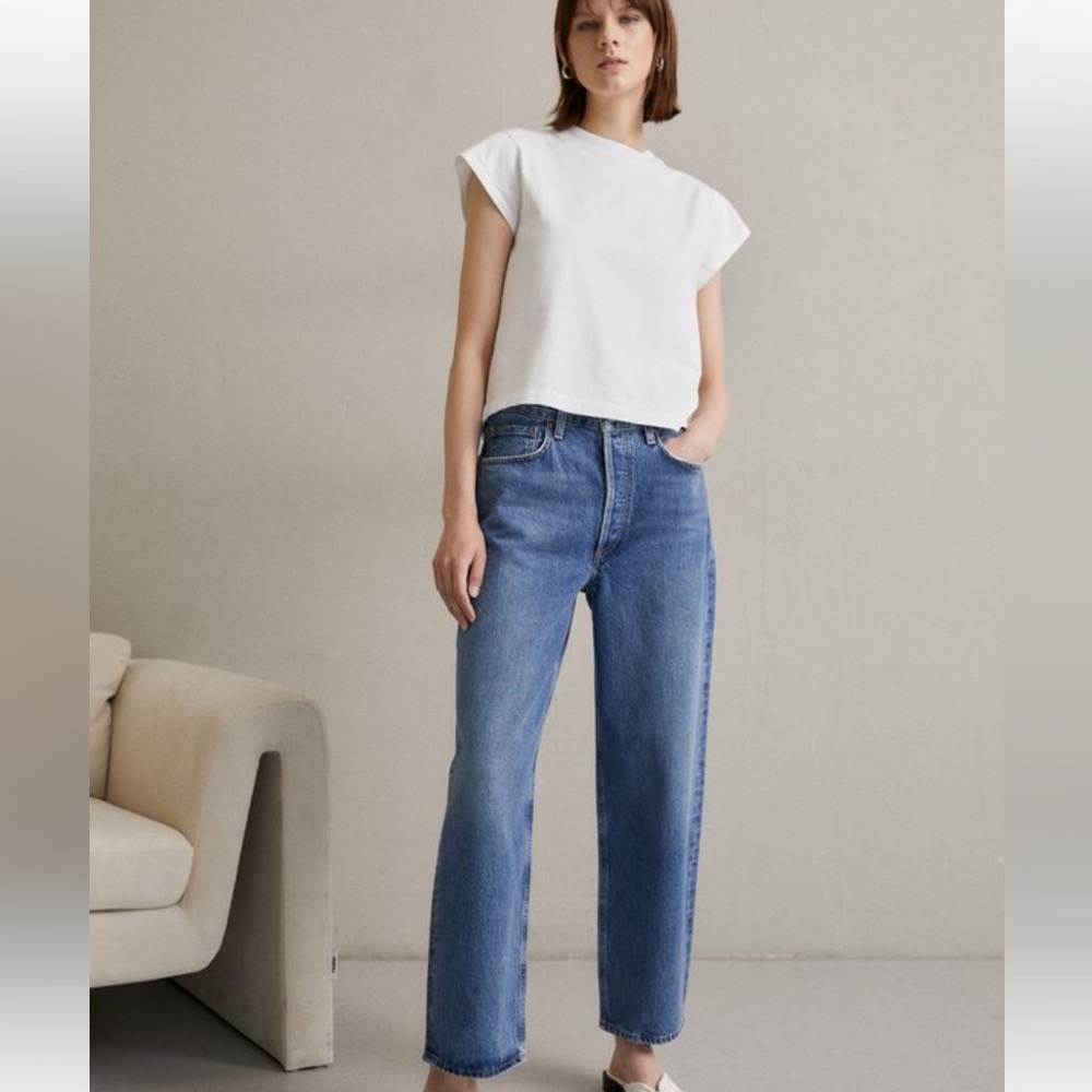 Agolde Dara Baggy Jean 28